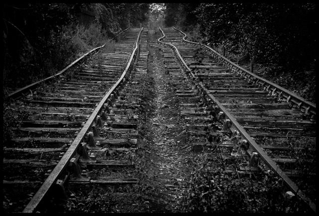 Hay Inclined Plane.