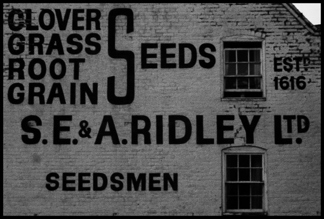 Grass Roots.