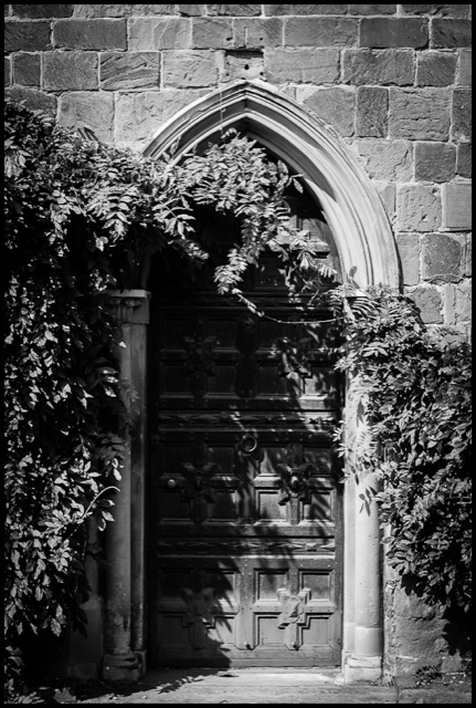 The door.