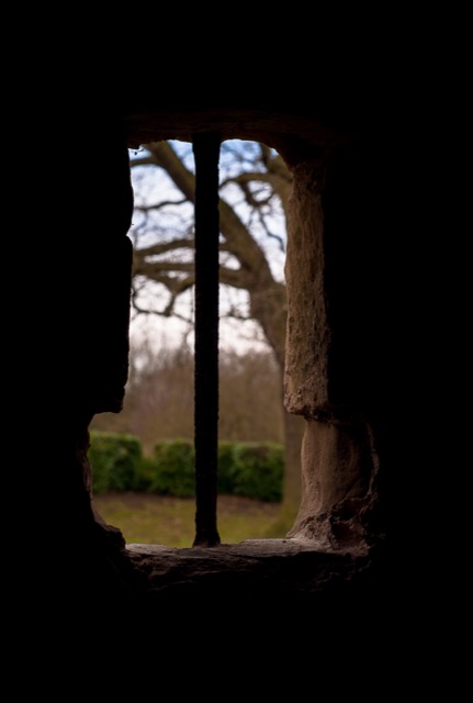 The Window.