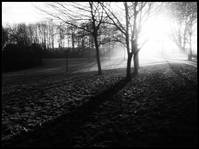 Winter morning.