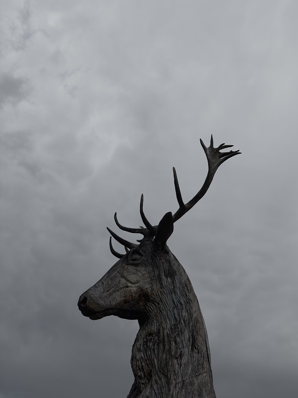 A wooden stag sculpture photographed from below against an overcast sky.